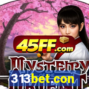 313bet.con