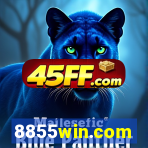 8855win.com