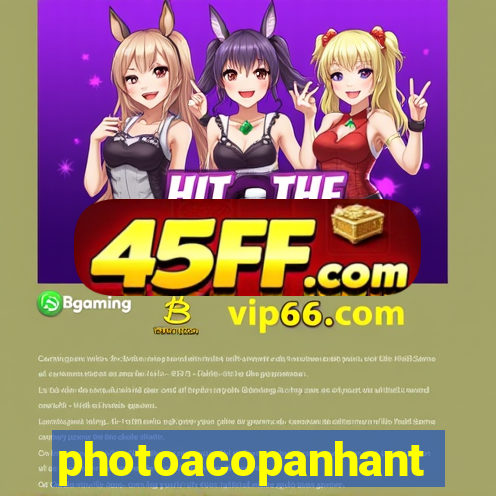 photoacopanhante.