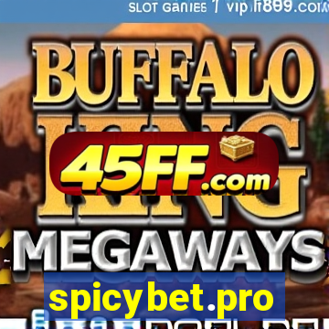 spicybet.pro