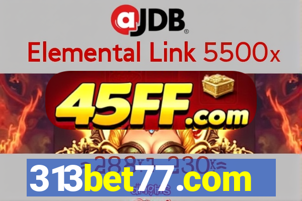 313bet77.com