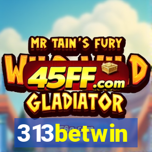 313betwin