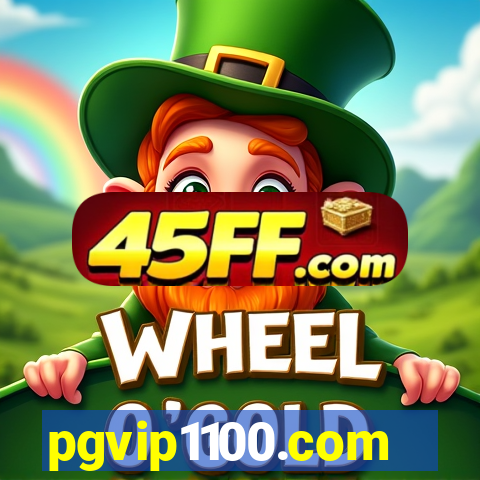 pgvip1100.com